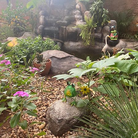 Pousada Girassol Olímpia Dış mekan fotoğraf
