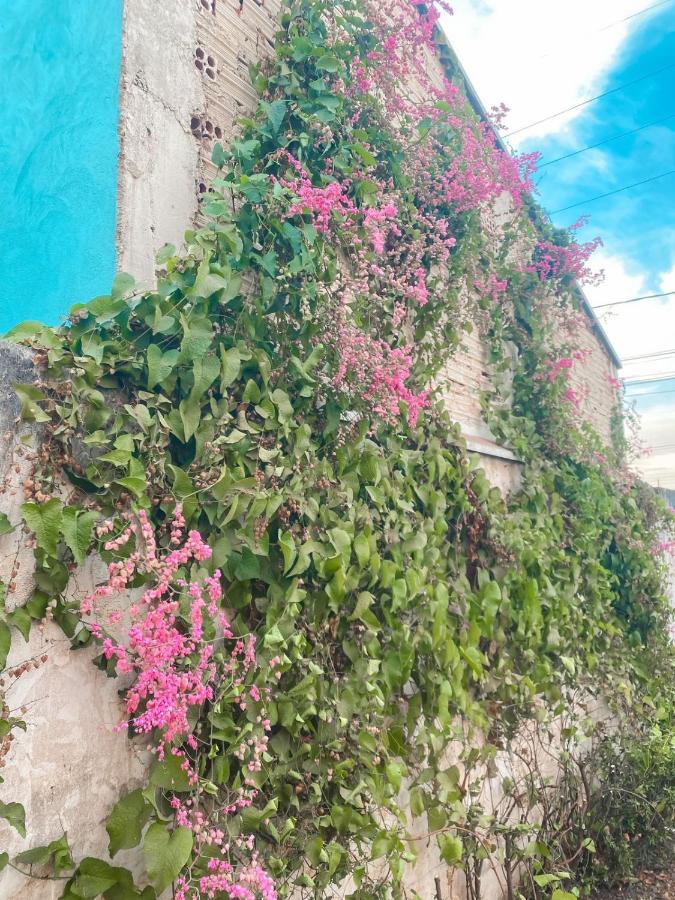 Pousada Girassol Olímpia Dış mekan fotoğraf